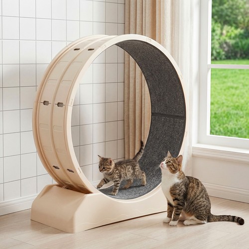 110 katzen laufrad für - 110, katzen-laufrad