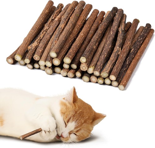 Katzenminze sticks matatabi - katzenminze,